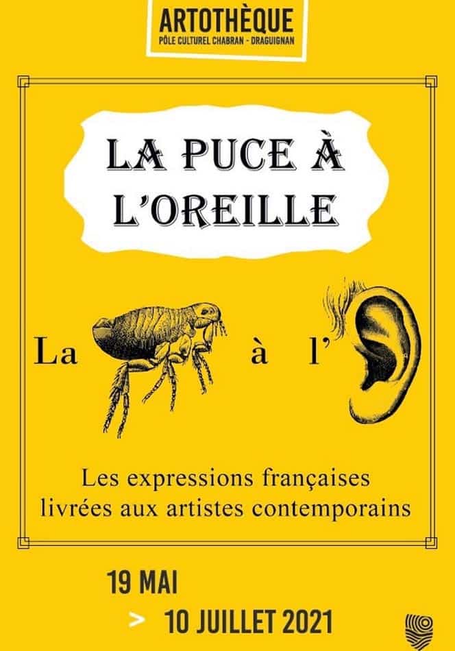 La puce à l’oreille