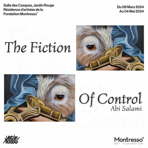 The Fiction of control