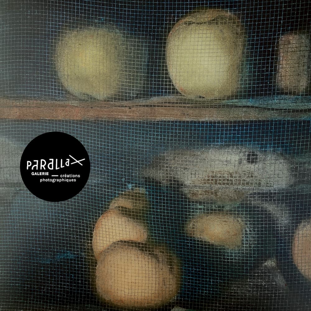 Est-ce qu&rsquo;une pomme ça bouge ?